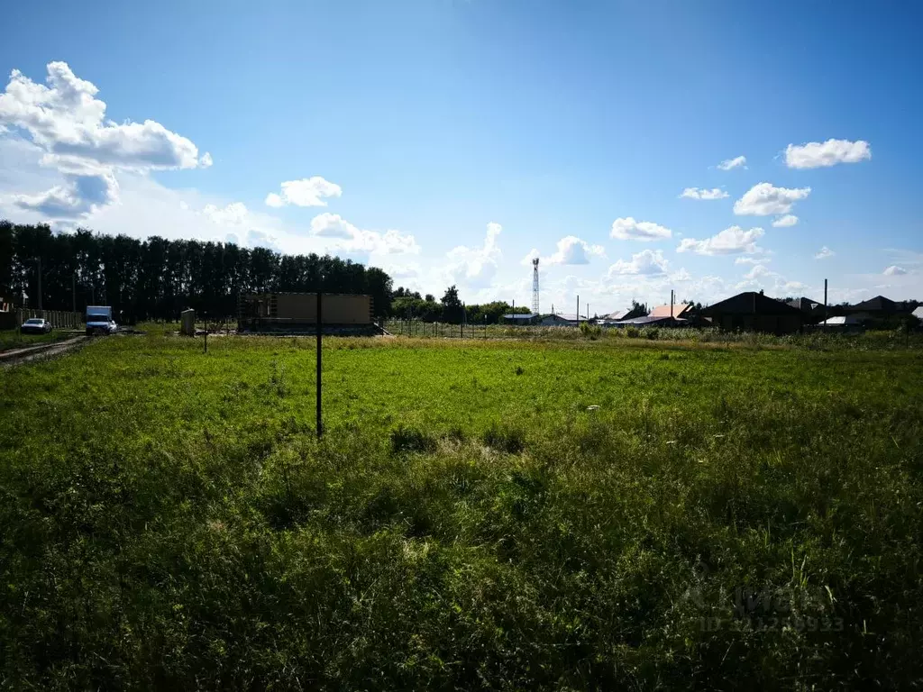 Участок в Омская область, Омский район, с. Усть-Заостровка  (14.0 ... - Фото 1