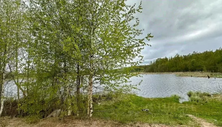 Участок в Ярославская область, Ростовский муниципальный округ, д. ... - Фото 1