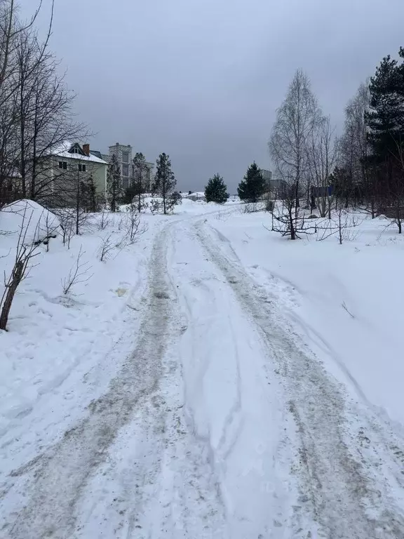 Участок в Калининградская область, Светлогорск Кольцевая ул. (4.5 ... - Фото 2