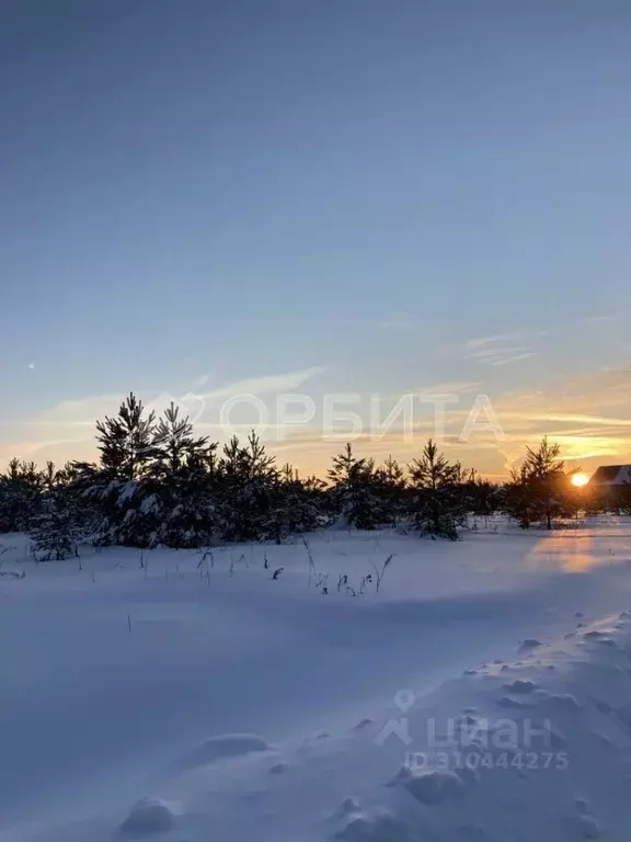 Участок в Тюменская область, Тюменский район, с. Кулига, Кулига-2 мкр  ... - Фото 1