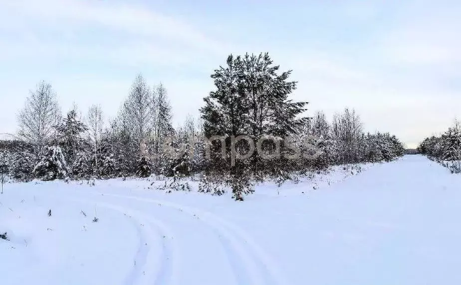 Участок в Тюменская область, Нижнетавдинский район, д. Красный Яр  ... - Фото 1