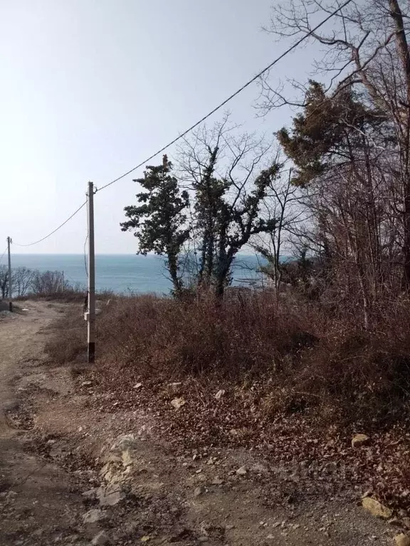 Участок в Краснодарский край, Туапсинский муниципальный округ, с. ... - Фото 0