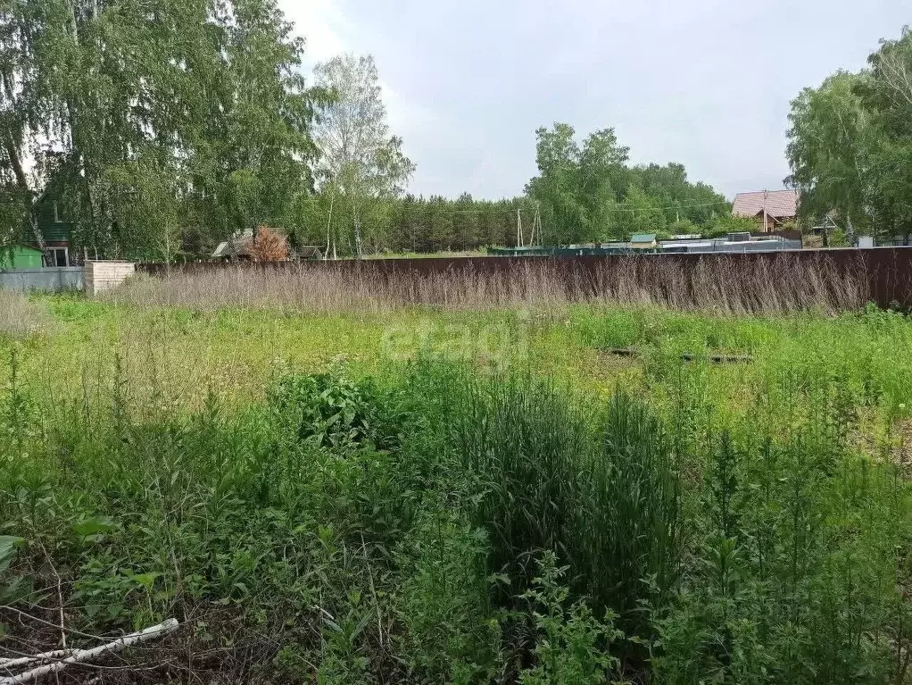 Участок в Новосибирская область, Бердск Ветеран садовое товарищество, ... - Фото 1