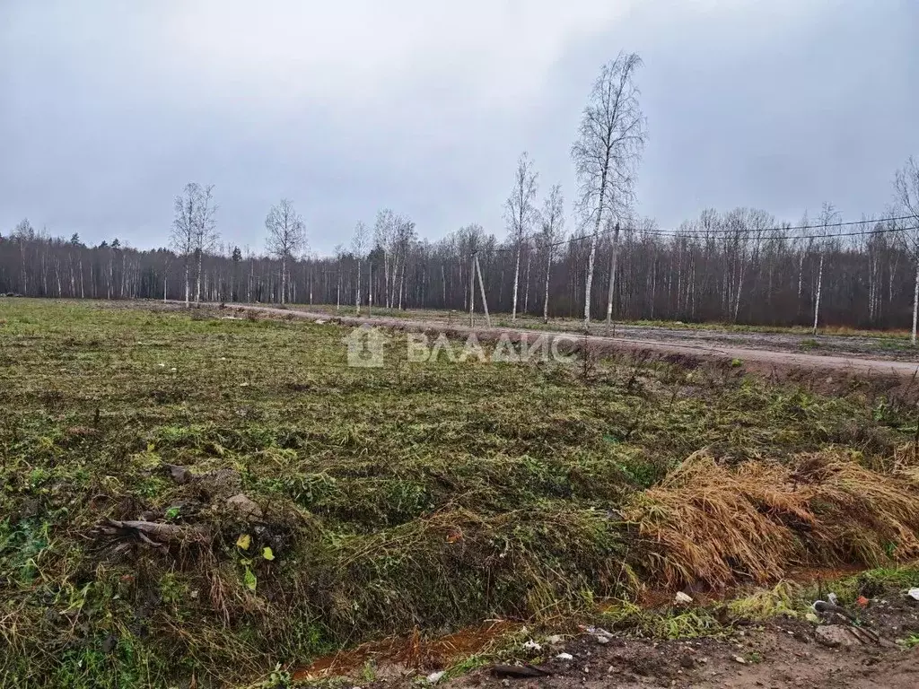 Участок в Ленинградская область, Всеволожский район, Свердловское ... - Фото 1