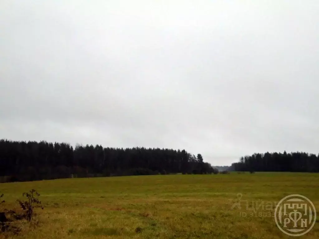 Участок в Ленинградская область, Выборгский район, Полянское с/пос, ... - Фото 0