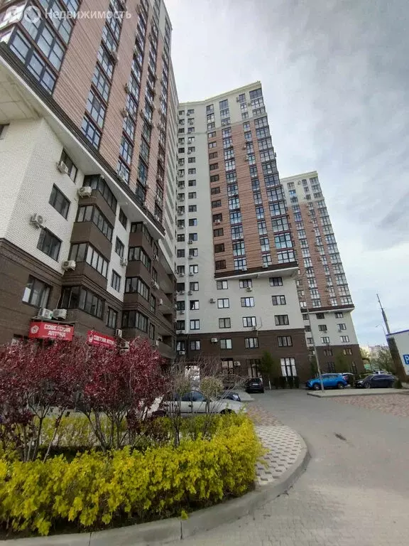 1-комнатная квартира: Анапа, улица Толстого, 130к1 (37 м) - Фото 0