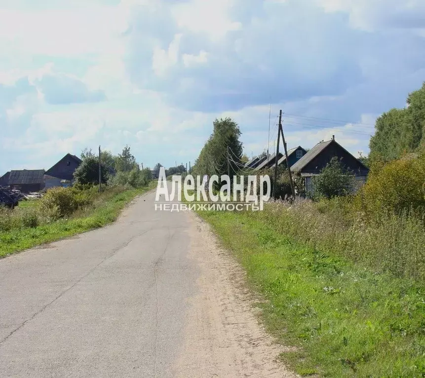 Участок в Ленинградская область, Лужский район, Ям-Тесовское с/пос, д. ... - Фото 2