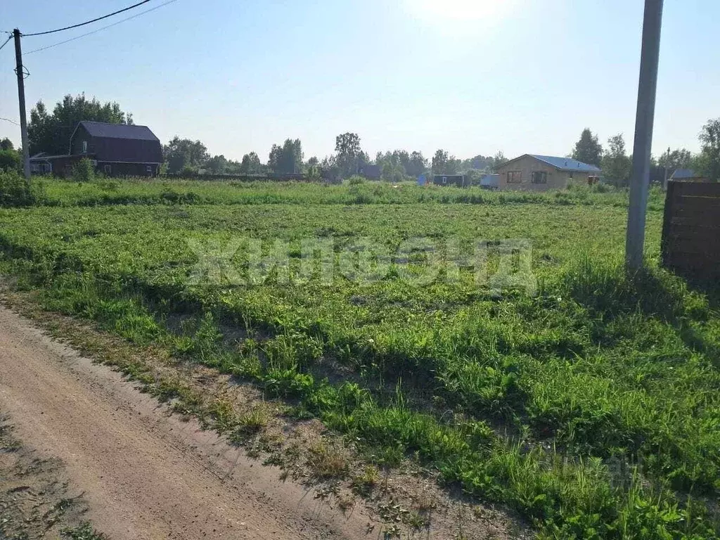 Участок в Новосибирская область, Коченевский район, Тальник СНТ  (10.5 ... - Фото 1