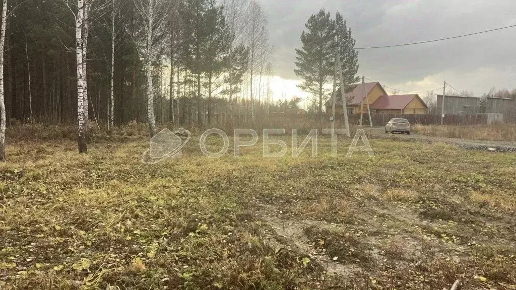 Участок в Тюменская область, Нижнетавдинский район, Березка СНТ  (8.8 ... - Фото 0