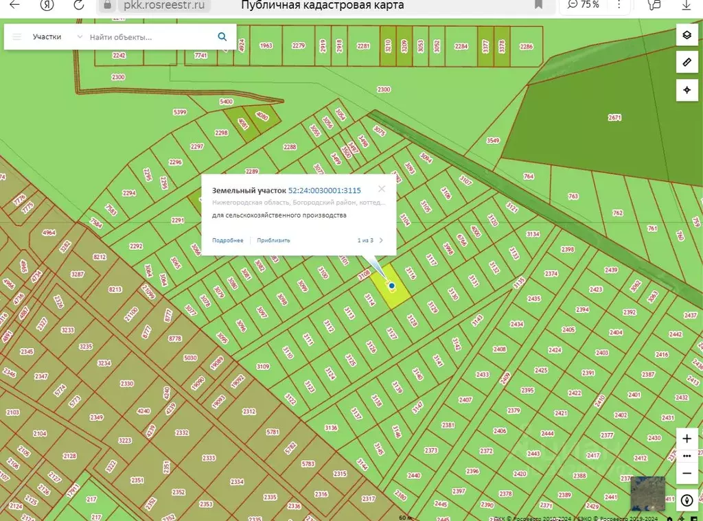 Участок в Нижегородская область, Богородский муниципальный округ, ... - Фото 1