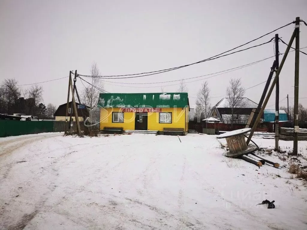 Участок в Тюменская область, Тюмень СОСН Березка-3 тер., ул. 15-я (9.6 ... - Фото 2