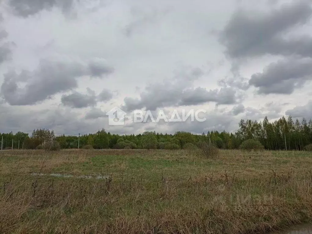 Участок, 11 сот., поселения (ижс) - Фото 1