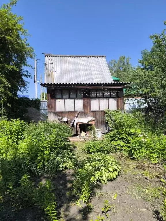 Дом в Тюменская область, Тюмень Тополя СНТ, ул. 1-я (20 м) - Фото 1
