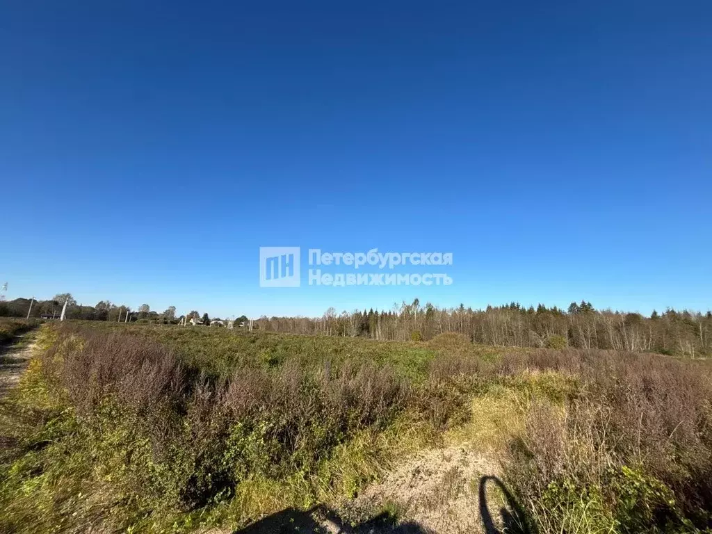 Участок в Ленинградская область, Лужский район, Толмачевское городское ... - Фото 1