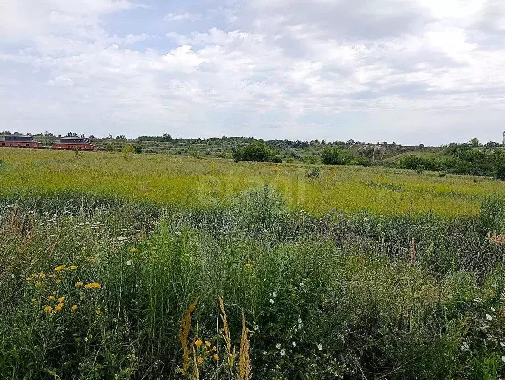 Участок в Белгородская область, Белгород пер. Раевского (15.0 сот.) - Фото 1