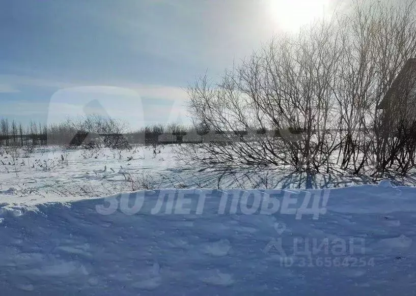 Участок в Тюменская область, Тюменский район, д. Есаулова ул. ... - Фото 2