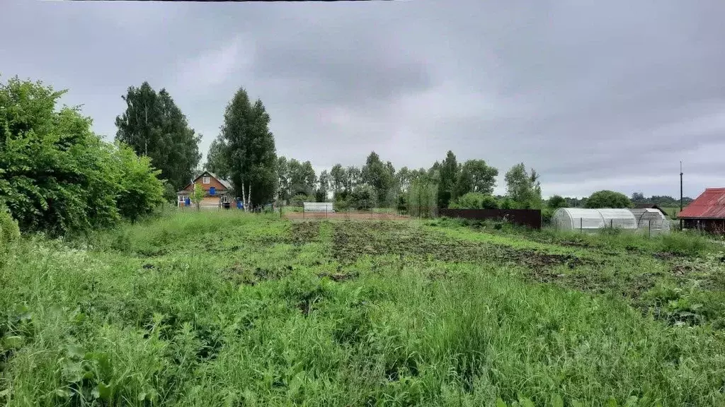 Участок в Ярославская область, Ярославский муниципальный округ, д. ... - Фото 1