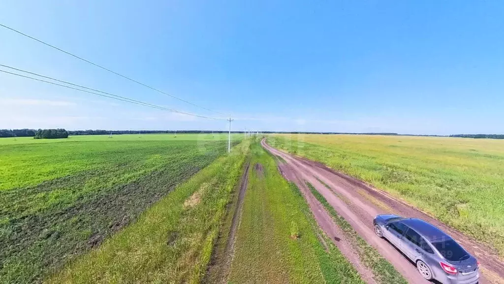 Участок в Тюменская область, Тюменский район, с. Горьковка  (5.96 ... - Фото 0