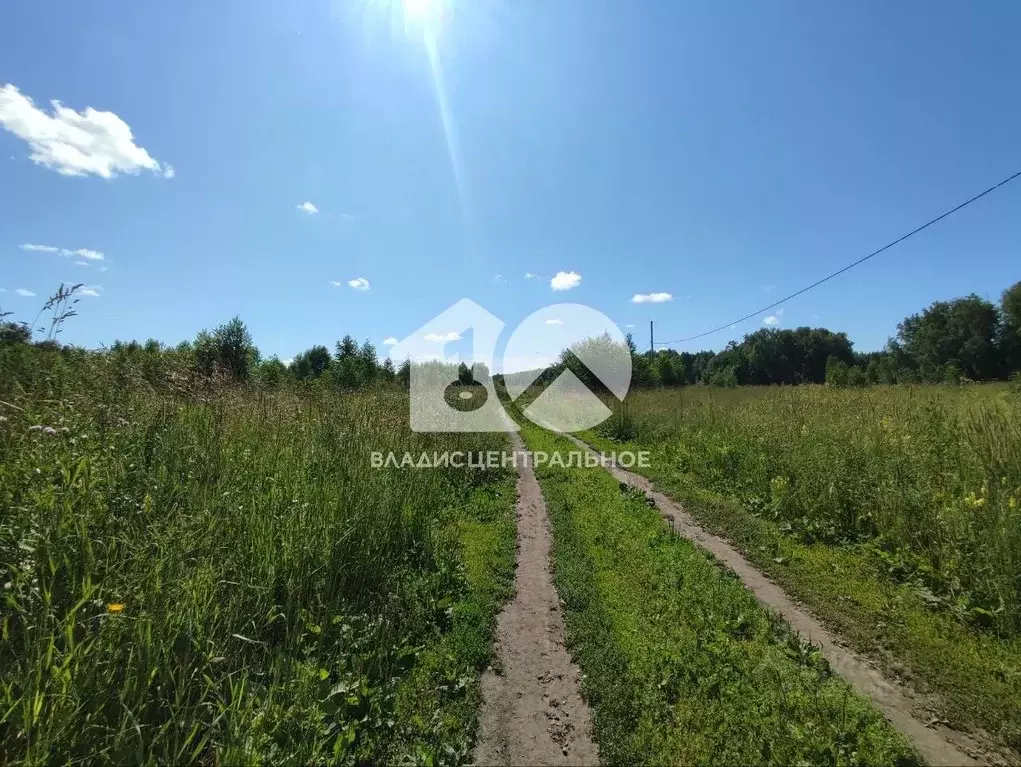 Участок в Новосибирская область, Мошковский район, Индия кп  (8.0 ... - Фото 0