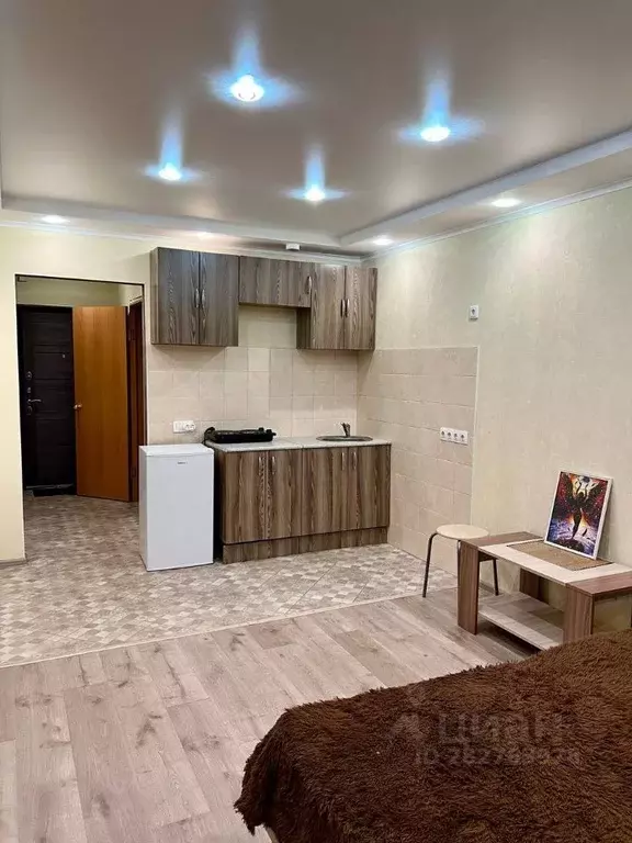 Студия Ленинградская область, Мурино Всеволожский район, просп. ... - Фото 2