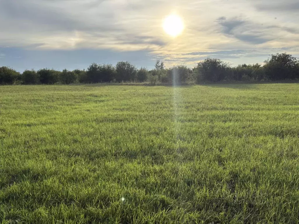 Участок в Саха (Якутия), Якутск городской округ, с. Хатассы  (10.0 ... - Фото 2