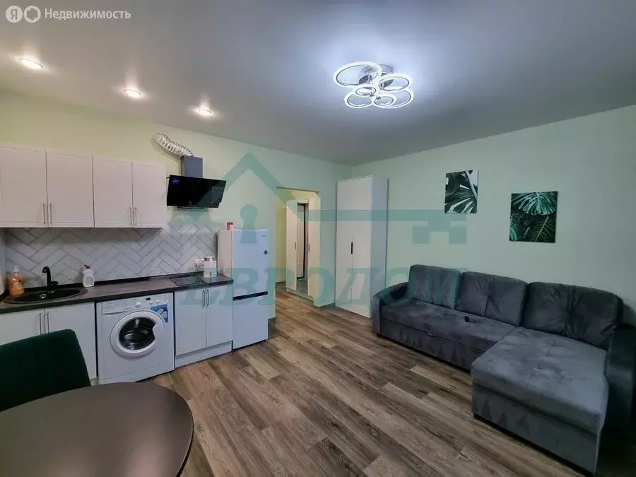 Квартира-студия: Новосибирск, Красный проспект, 167/3 (26.2 м) - Фото 1