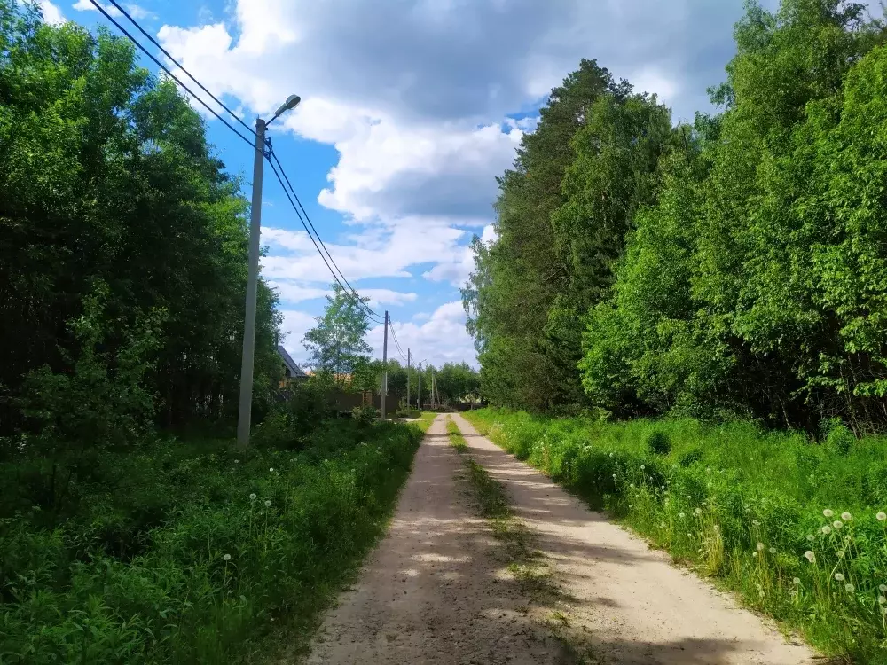 Продается участок в с. Душоново - Фото 2