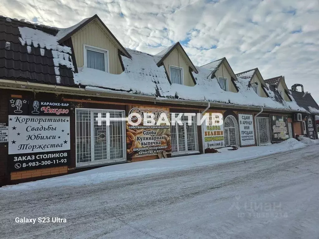 Помещение свободного назначения в Новосибирская область, Ордынский ... - Фото 0