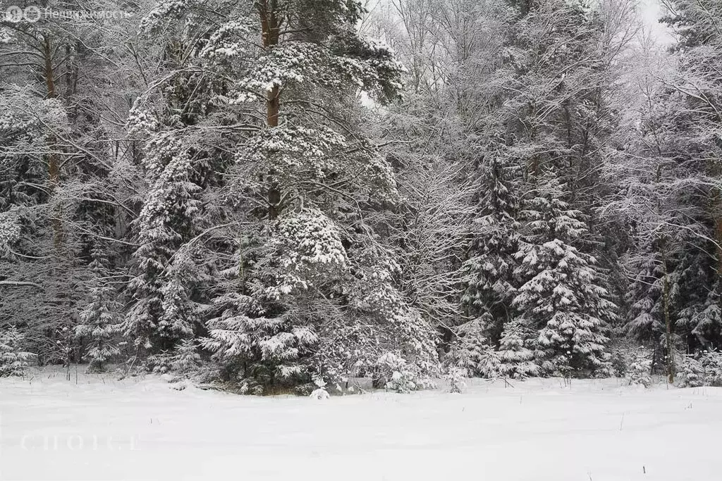 Участок в посёлок Николина Гора, КП Сосновый бор (28 м) - Фото 1