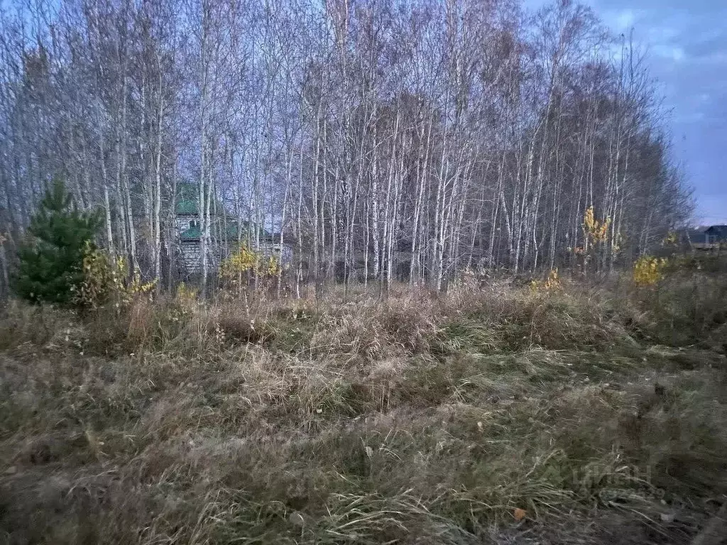 Участок в Новосибирская область, Новосибирский район, Кубовинский ... - Фото 2