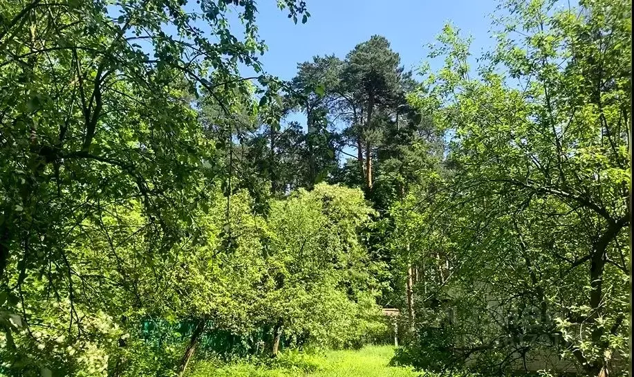 Участок в Московская область, Одинцовский городской округ, д. Жуковка  ... - Фото 0