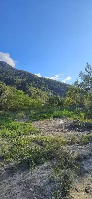 Участок в Краснодарский край, Сочи Красная Поляна пгт, А-149, 41-й км ... - Фото 2