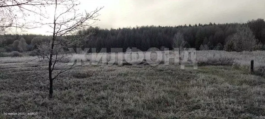 Участок в Брянская область, Брянский район, Журиничское с/пос, с. ... - Фото 1