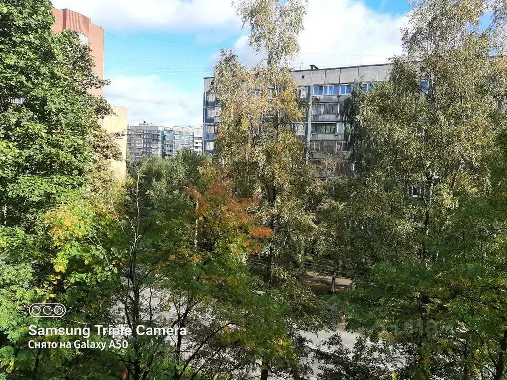 2-к кв. Санкт-Петербург Северный просп., 6К1 (46.2 м) - Фото 1