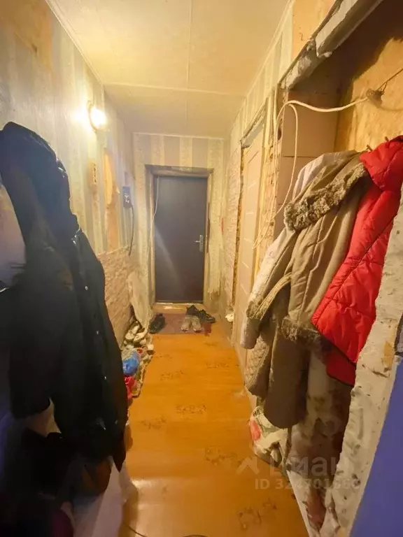 1-к кв. Владимирская область, Кольчугино ул. Победы, 11 (29.5 м) - Фото 2