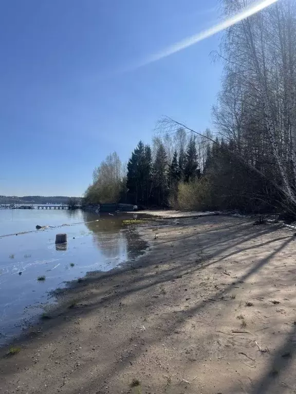 Участок в Пермский край, Добрянский городской округ, д. Адищево ул. ... - Фото 0