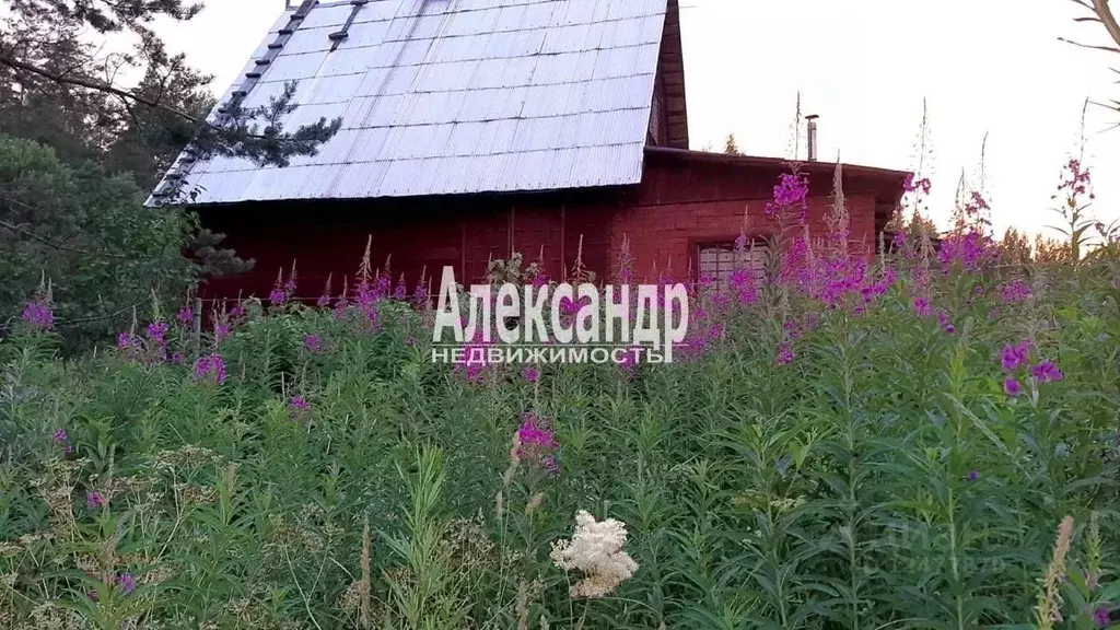 Дом в Ленинградская область, Выборгский район, Каменногорское ... - Фото 0