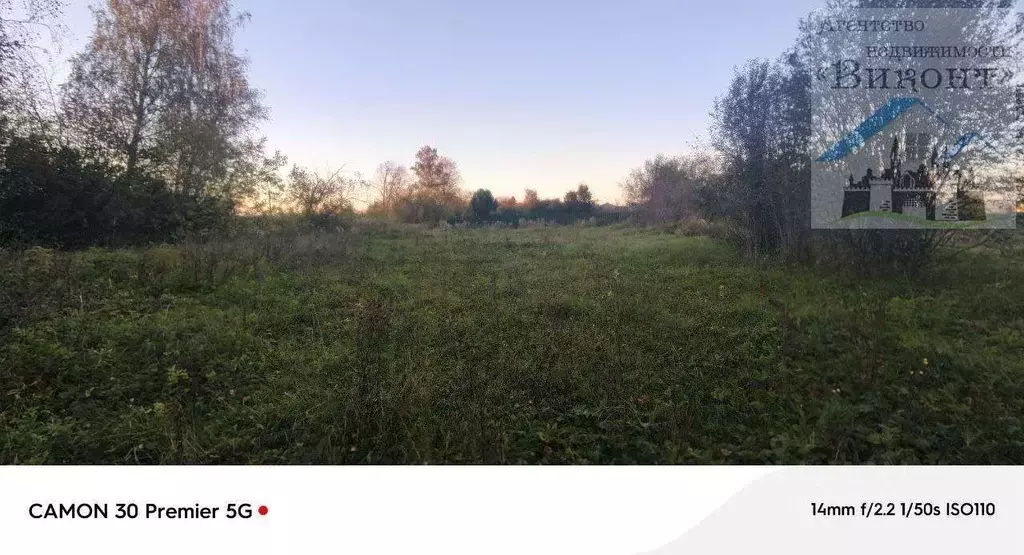 Участок в Пермский край, с. Бершеть ул. Цветочная, 17 (10.0 сот.) - Фото 2