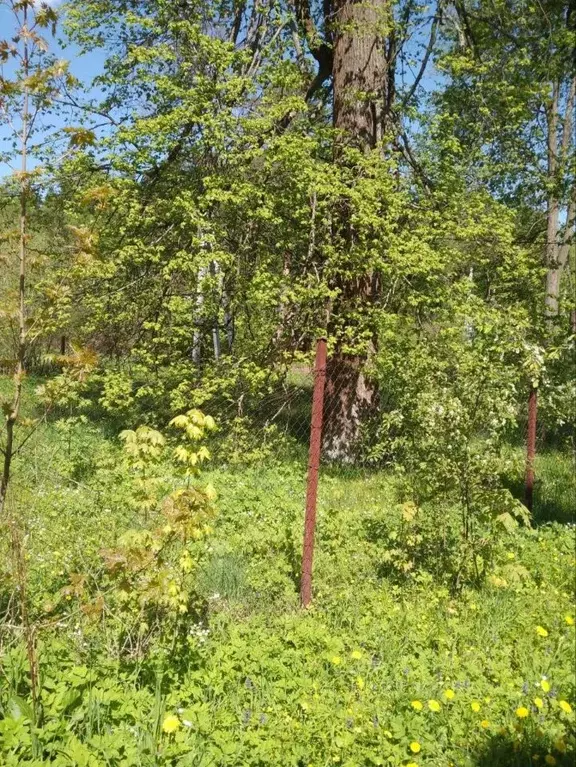 Участок в Московская область, Солнечногорск городской округ, д. ... - Фото 0