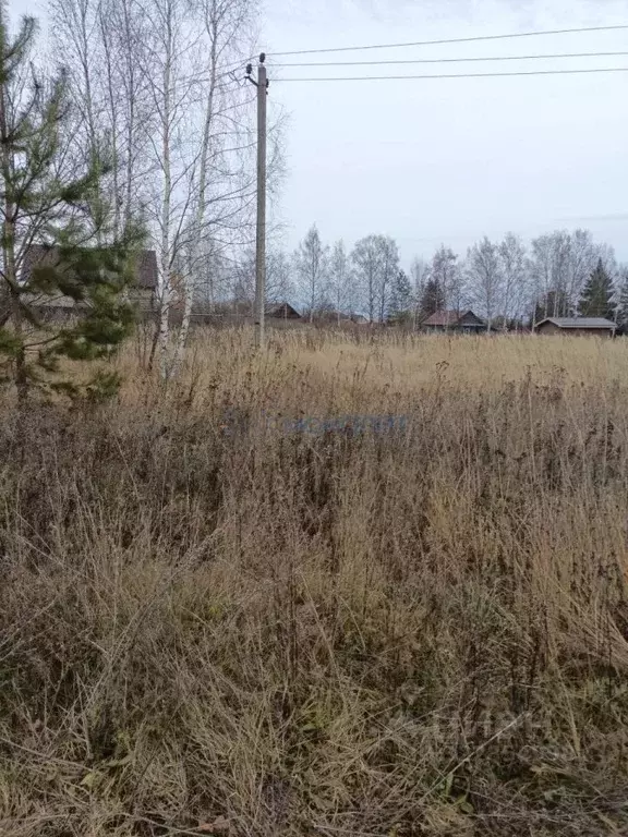 Участок в Нижегородская область, Богородский муниципальный округ, д. ... - Фото 2