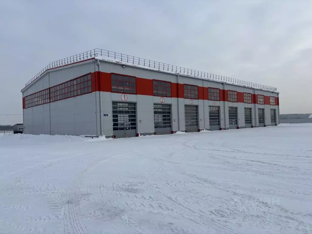 Помещение свободного назначения в Московская область, Домодедово ... - Фото 1