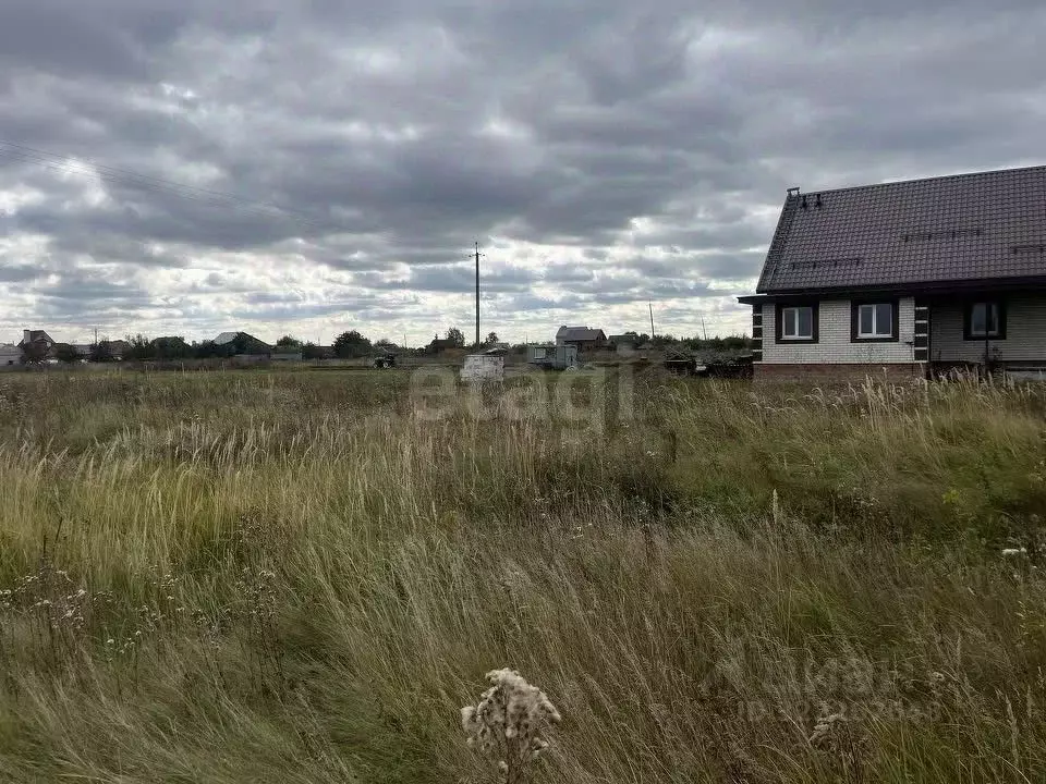 Участок в Тамбовская область, Тамбов городской округ, с. Бокино, Новый ... - Фото 1