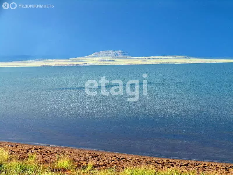 Участок в Ширинский район, Целинный сельсовет (1.5 м) - Фото 2