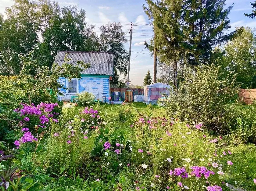 Дом в Новосибирская область, Искитим Уклонная ул. (20 м) - Фото 1