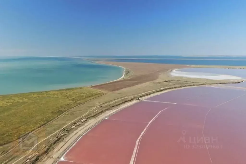 Участок в Крым, Ленинский район, Семисотское с/пос, с. Каменское 1 ... - Фото 2