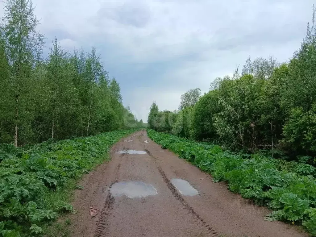 Участок в Ленинградская область, Волховский район, Пашское с/пос, с. ... - Фото 1