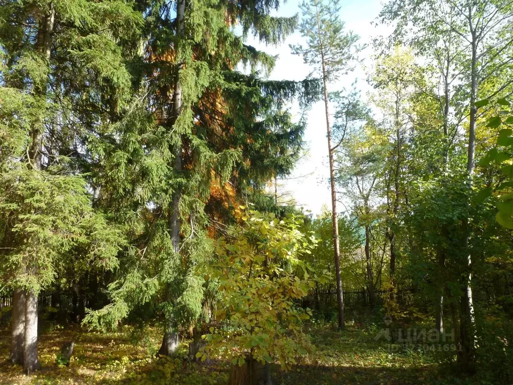 Дом в Московская область, Одинцовский городской округ, с. Луцино, ... - Фото 2