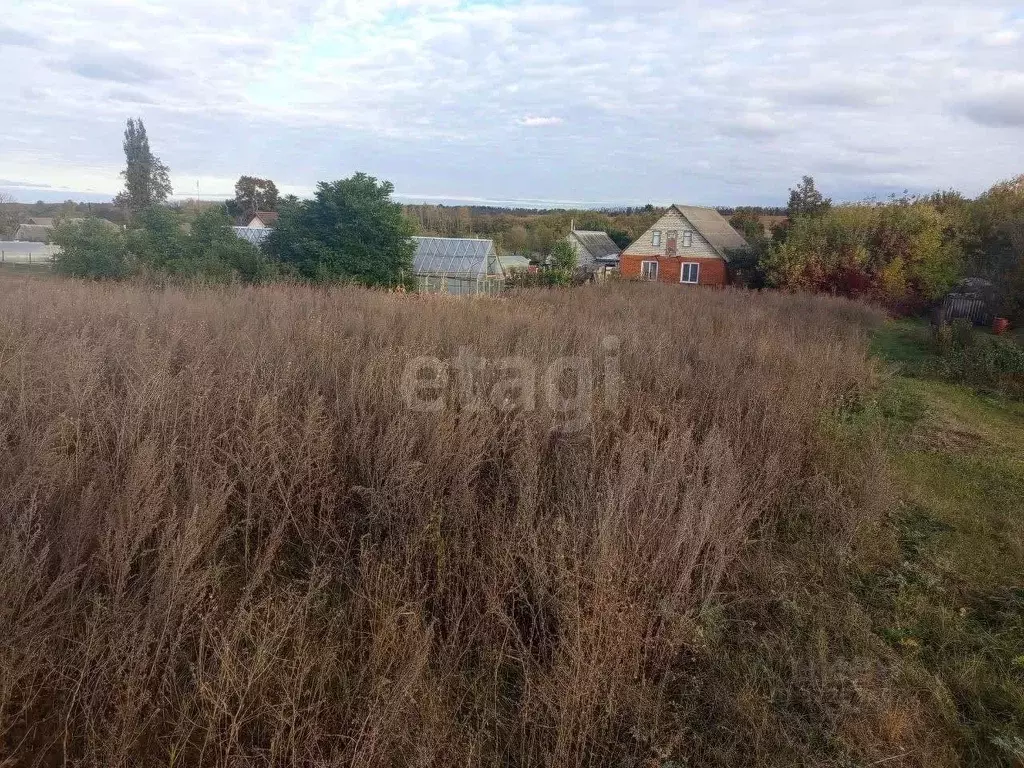 Участок в Белгородская область, Губкинский городской округ, с. ... - Фото 1