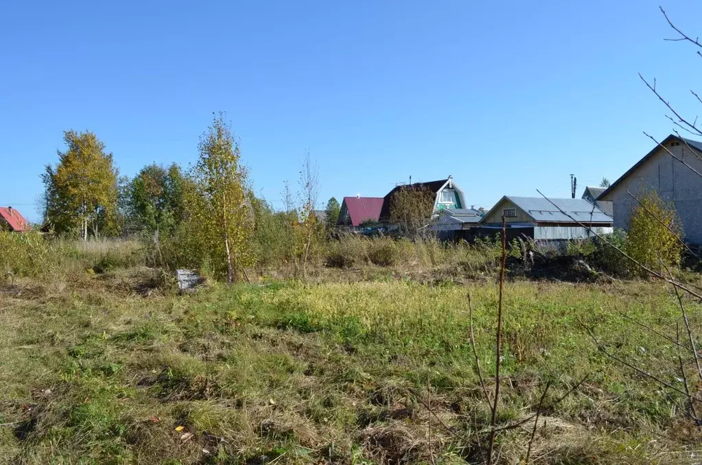 Дом в Архангельская область, Приморский муниципальный округ, Боровичок ... - Фото 2