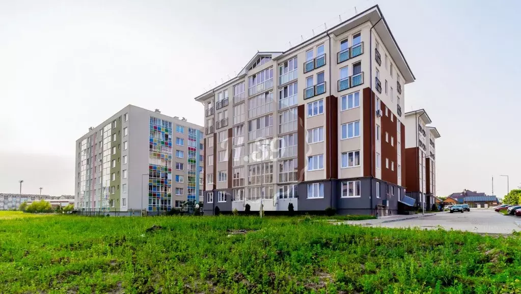 2-к кв. Калининградская область, Светлогорск Яблоневая ул., 17к2 (64.0 ... - Фото 0